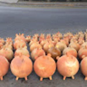 Meet your Posher, Geeke